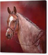 Red Roan Canvas Print