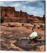 Red Rocks Skull Canvas Print