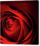 Red Rose Close Canvas Print