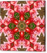 Red Rose Kaleidoscope Canvas Print