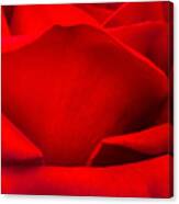 Red Rose Petals Canvas Print