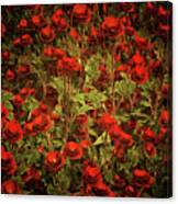 Red Roses Canvas Print