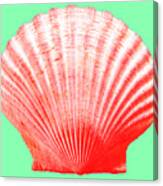 Red Shell On Green Canvas Print