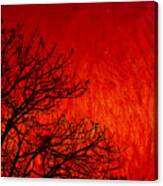 Red Storm Canvas Print