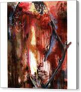 Red Tail Canvas Print