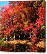 Red Trees By Lake Canvas Print