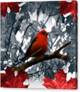 Red Wild Bird Canvas Print