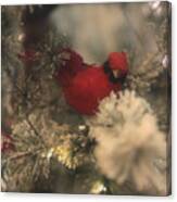 Redbird Snowy Greetings Canvas Print