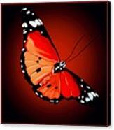 Redden Butterfly Canvas Print