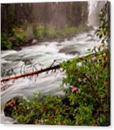 Redfish Creek In The Morning At Stanley Idaho Canvas Print