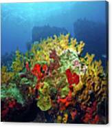 Reef Scene With Divers Bubbles Canvas Print