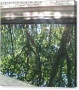 Reflection Of The Trees In The Water Canvas Print