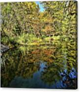 Reflections Of Fall Canvas Print