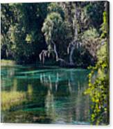 Reflections Of Rainbow Springs 2 Canvas Print