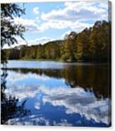 Reflections On The Withlacoochee River Canvas Print
