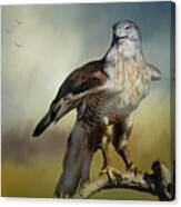 Regal Bird Canvas Print