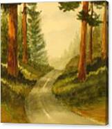 Remembering Redwoods Canvas Print
