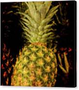 Renaissance Pineapple Canvas Print