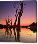 Renmark South Australia Sunset Canvas Print