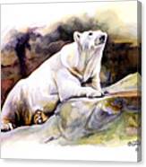Resting Polar Bear Canvas Print