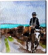 Returning Home, Doon Beg, Clare Canvas Print