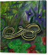 Ribbon Snake Canvas Print