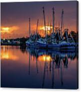 Rich And Vibrant Bayou Sunset Canvas Print