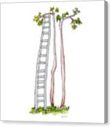 Rickety Ladder Canvas Print