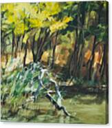 River In Summer Canvas Print