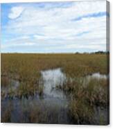 River Of Grass Canvas Print