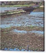 River Test At Totton Southampton Canvas Print