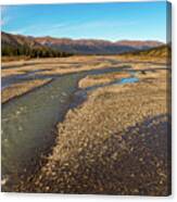 Rivers Of Denali National Park Canvas Print