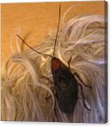 Roach Hair Clip Canvas Print