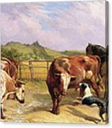 Road To Gloucester Fair By Briton Riviere Canvas Print