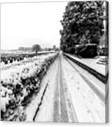 Road To Winter Canvas Print