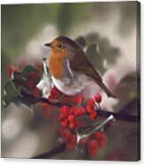 Robin And Berries Canvas Print