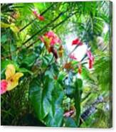 Robins Garden With Anthuriums And Ferns Canvas Print