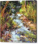 Rocky Creekbed Canvas Print