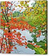 Rogue River Through Autumn Leaves In Rockford, Michigan Canvas Print