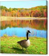 Romantic Skies Autumn Pond Goose Canvas Print