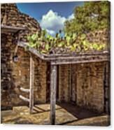 Roof Cacti Canvas Print