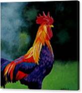 Rooster Canvas Print