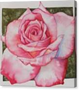 Rose 3 Canvas Print