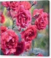 Rose 348 Canvas Print