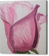 Rose Bud Canvas Print