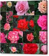 Rose Collage 3 Canvas Print
