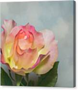 Rose In The Clouds Canvas Print
