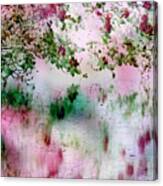 Rose Reflections Canvas Print
