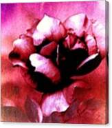 Rose Rose  Copyright Mary Lee Parker Canvas Print