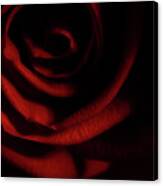 Rose Series 3 Red Canvas Print